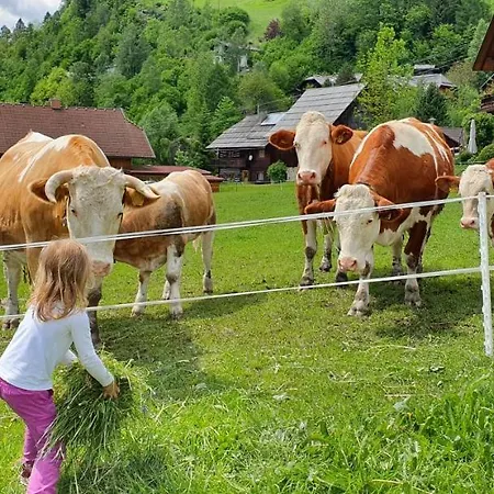 펜션 Michael 바트키르히하임