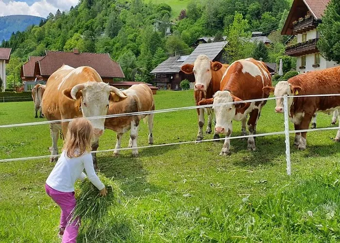 Hébergement de vacances Michael Bad Kleinkirchheim